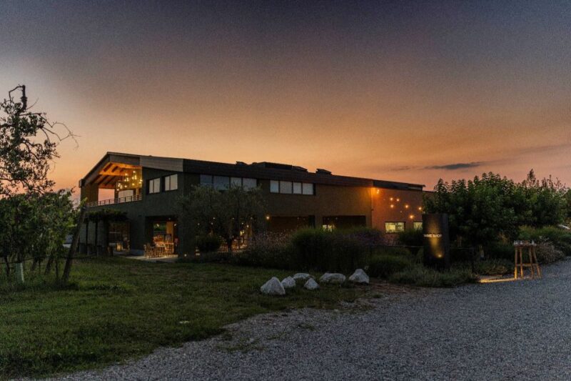 Desenzano: Lugana Wine-Tasting and Vineyard Tour - Exploring the Vineyards and Cellars of Lake Garda’s Top Region