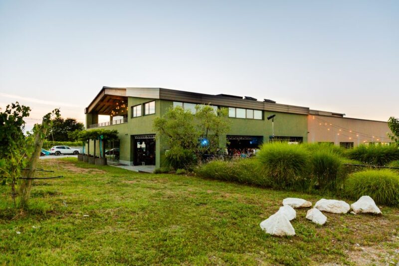 Desenzano: Lugana Wine-Tasting and Vineyard Tour - The Food Pairing Experience