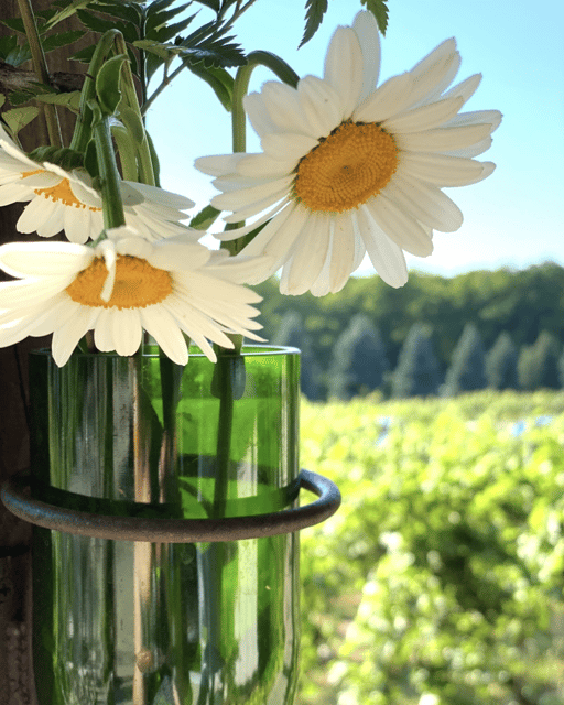 Designated Driver For Wine Tours - Traverse City - Safety and Legal Considerations