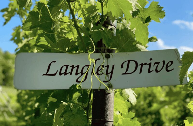 Designated Driver For Wine Tours - Traverse City - Accessibility and Group Size