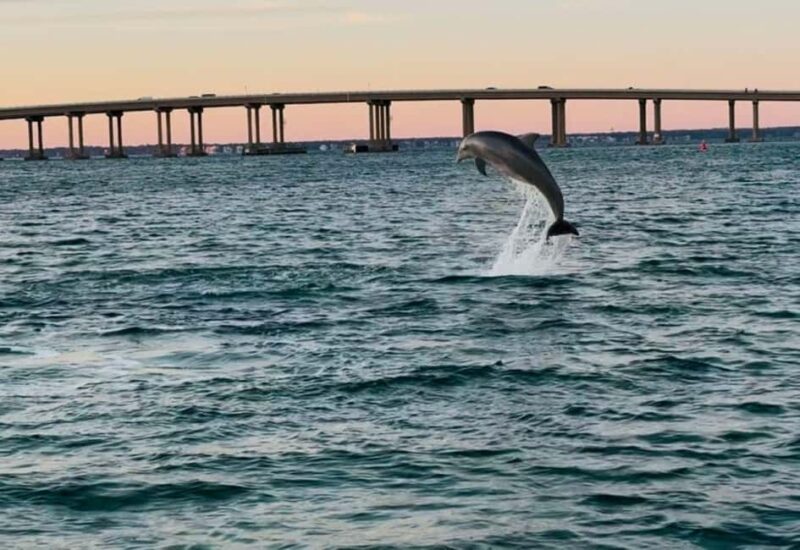 Destin: 90-Minute Boat Ride With Cruise Destin Bay - Experience the Beauty of Destin on a 90-Minute Boat Ride with Cruise Destin Bay