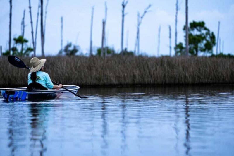 Destin: Clear Kayak Eco Tour with Island Stops - Starting Point at Mary Esther: Easy Access for All