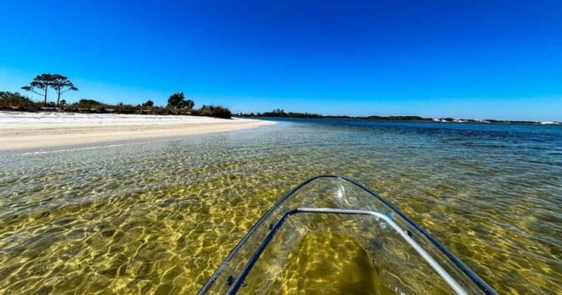 Destin: Clear Kayak Eco Tour with Island Stops - Swimming, Relaxing, and Photo Opportunities