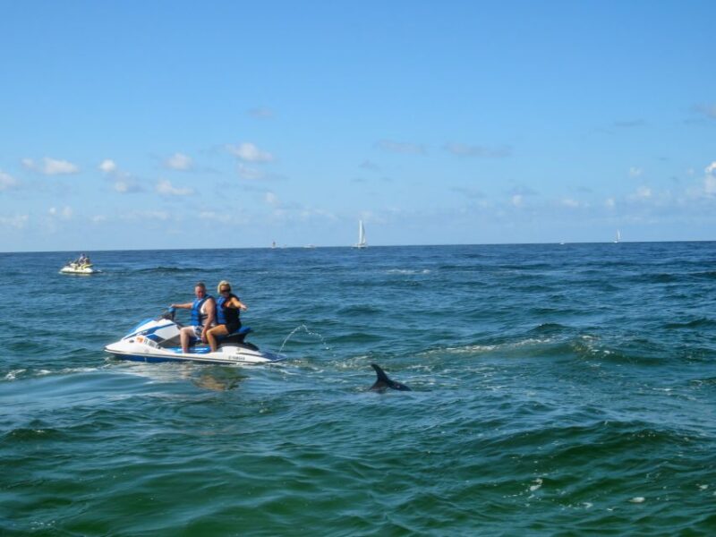 Destin: Crab Island Dolphin Watching Jet Ski Tour - Exciting Dolphin Sightings and Crab Island Stop in Destin