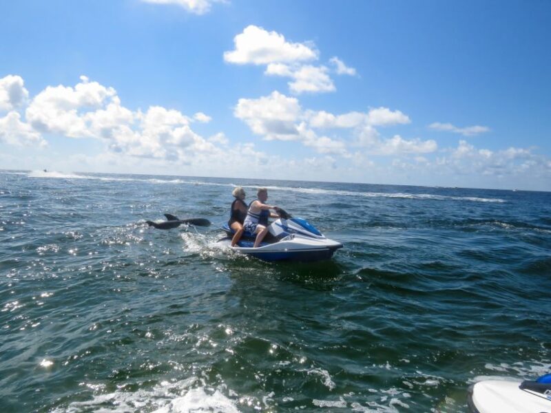 Destin: Crab Island Dolphin Watching Jet Ski Tour - What to Expect During the 120-Minute Tour
