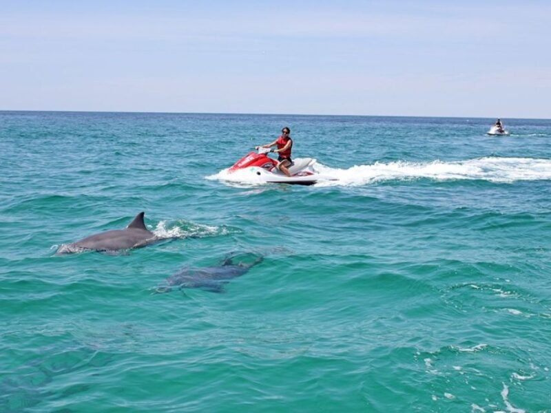 Destin: Crab Island Dolphin Watching Jet Ski Tour - Safety and Regulatory Requirements for Riders