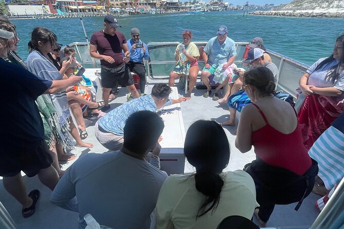 Destin Crab Island Tour in Catamaran - What the Tour Includes and Excludes