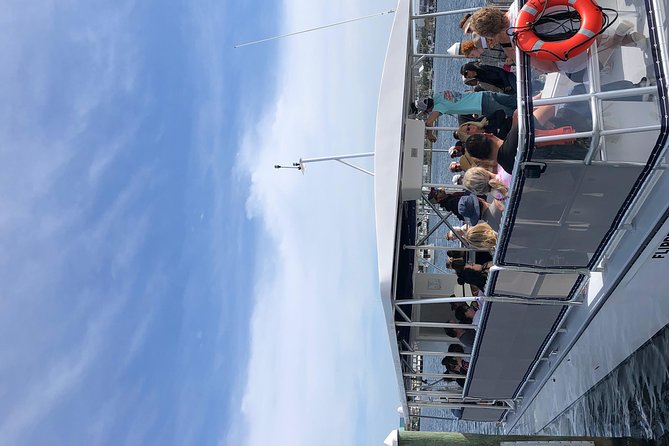 Destin Dolphin Cruise - What to Expect During the Dolphin Search