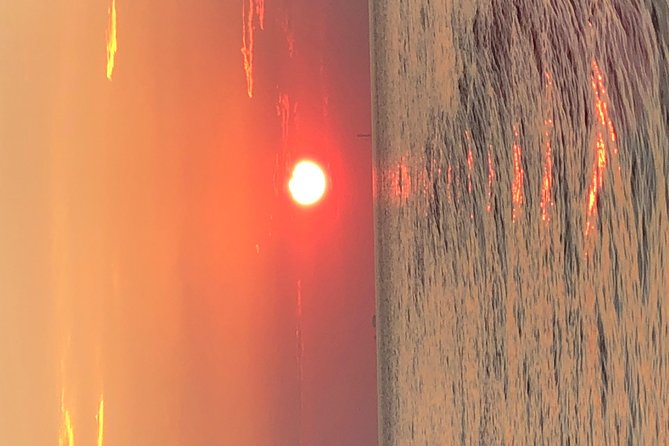 Destin Dolphin Cruise - Practical Tips for a Great Experience