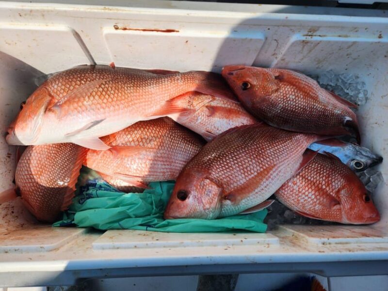 Destin: Fish and Fun Destin! - Summary of Why This Tour Stands Out