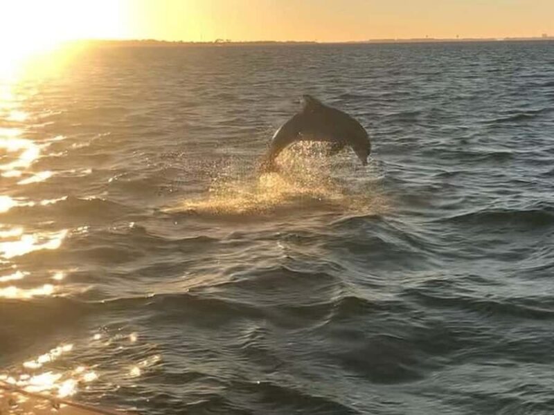 Destin: Floating Tiki Bar Cruise with 360° Harbor Views - What Sets This Tour Apart from Other Destin Water Tours