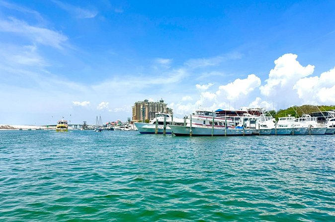 Destin Harbor Boat Ride and Dolphin Watching on the Hopper - Frequently Asked Questions