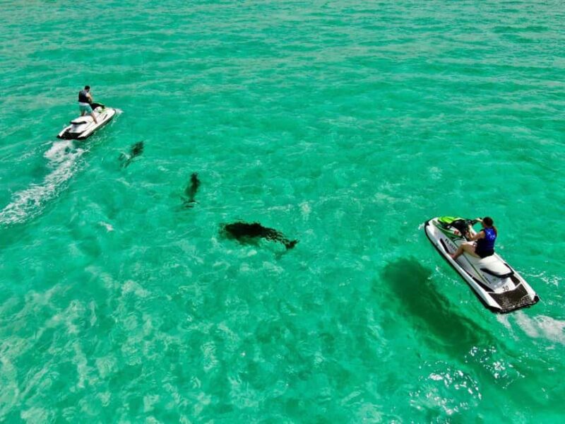 Destin Jet Ski Dolphin Tour with Gilligan's Watersports - Key Points