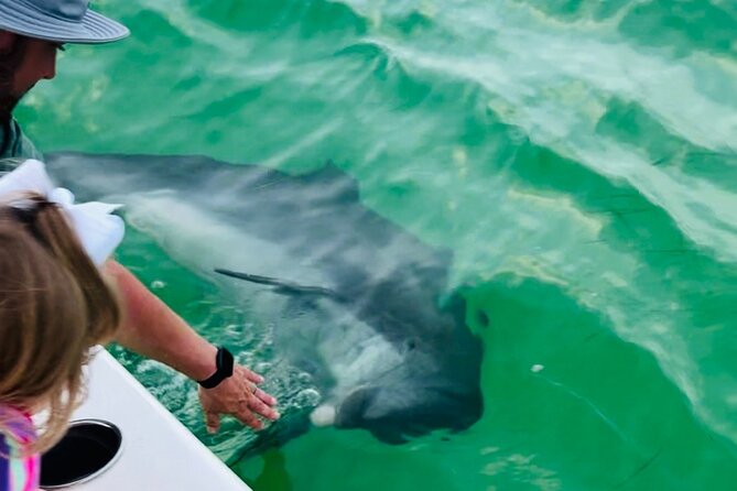 Destin Private Boat Tours Dolphin Crab Island Snorkel Sunset - The Destin Harbor and Local Scenery