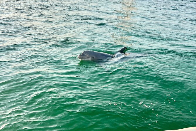 Destin Private Boat Tours Dolphin Crab Island Snorkel Sunset - Final Thoughts on the Destin Private Boat Tour