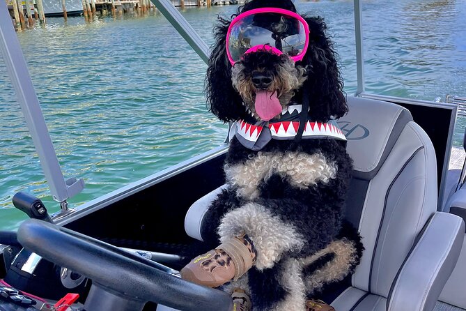 Destin- Private Chartered Slide Pontoon Boat-Up to 6 Guests - Exploring Destin’s Waters and Crab Island