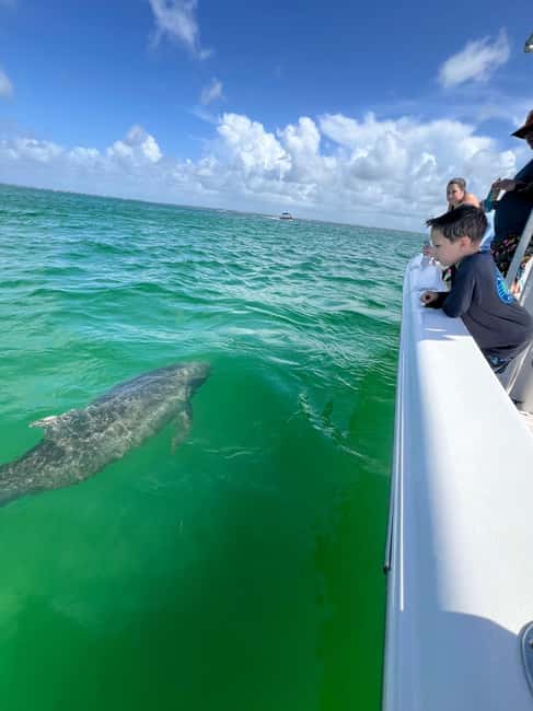 Destin: Private Morning Dolphin Cruise - Discover the Private Morning Dolphin Cruise in Destin