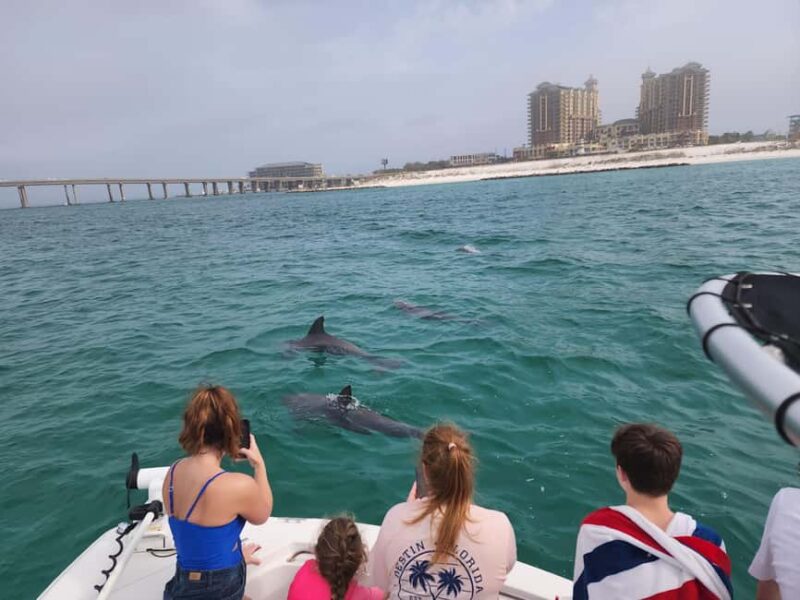 Destin: Private Morning Dolphin Cruise - Setting Sail on a Private 2-Hour Destin Water Adventure