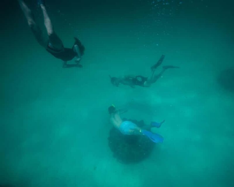 Destin: Reef Snorkeling Adventure - Duration Flexibility and Timing