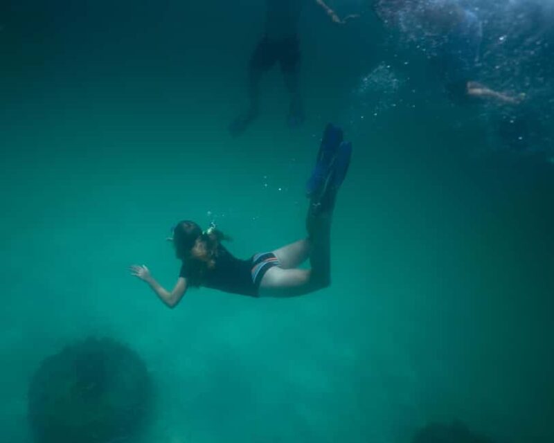 Destin: Reef Snorkeling Adventure - Why Choose This Tour over Others