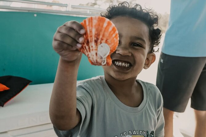 Destin Shelling and Dolphin Adventure - Who Will Love This Tour?