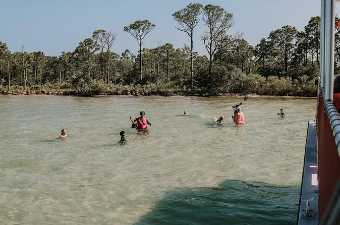 Destin Shelling and Dolphin Adventure - Destin Shelling and Dolphin Adventure: Final Thoughts