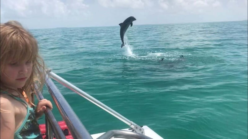 Destin: Snorkeling Cruise with 2 Stops and Dolphin Watching - Watching Dolphins in Their Natural Habitat