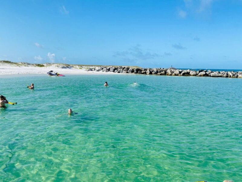 Destin: Snorkeling Cruise with 2 Stops and Dolphin Watching - Value and Overall Experience for the Price