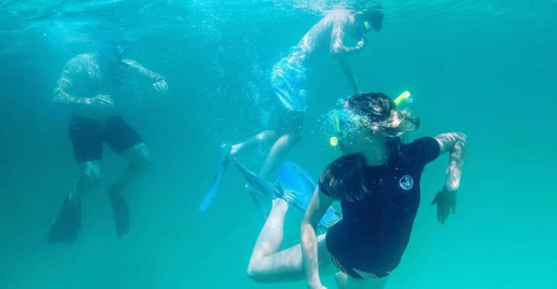 Destin: Snorkeling, Dolphins, and Crab Island - Exploring Destins Unique Snorkeling Spots