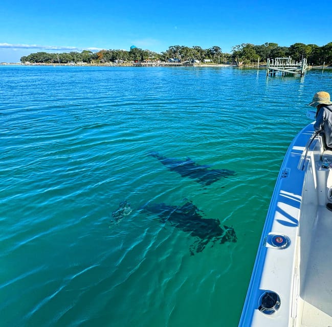 Destin: Snorkeling, Dolphins, and Crab Island - Why This Tour Makes a Strong Case for Personalization