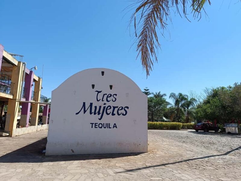 Destino Tequila: Experiencia Premier Privada - Discover the Charm of Jalisco with the Destino Tequila: Experiencia Premier Privada