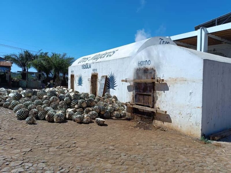 Destino Tequila: Experiencia Premier Privada - Visiting Tres Mujeres Distillery: Behind the Scenes of Tequila Making