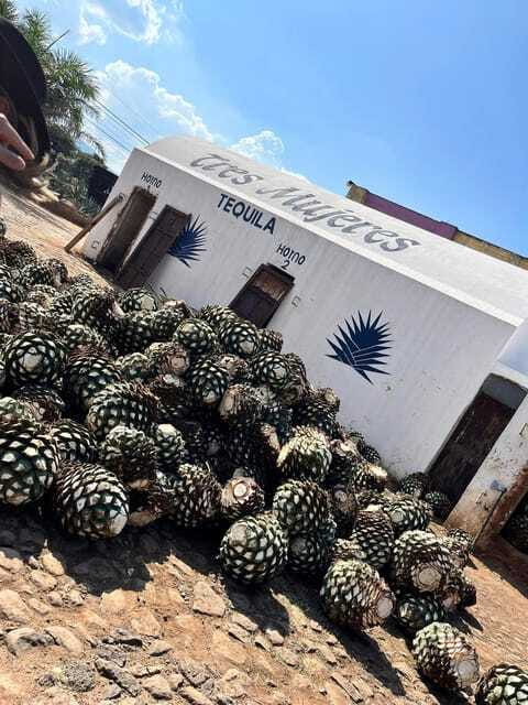Destino Tequila: Experiencia Premier Privada - Tequila Selecto: Tasting and Shopping at a Historic Hacienda