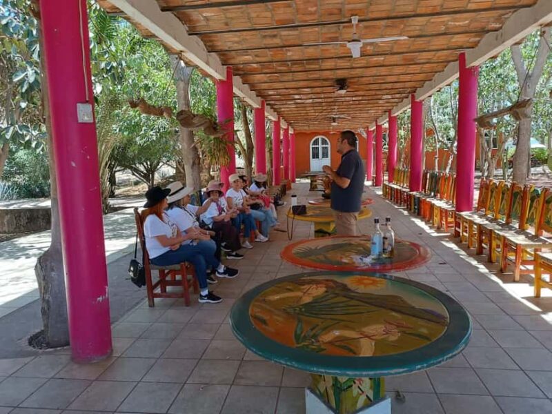 Destino Tequila: Experiencia Premier Privada - Exploring the Town of Tequila: Museums, Distilleries, and Culture