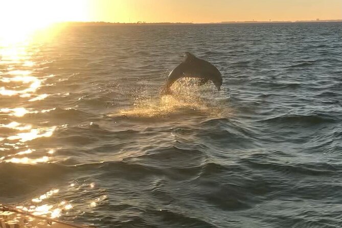 Destin's Floating Tiki Bar Cruise: 360° Harbor Views - The Party Atmosphere with Music and Drinks