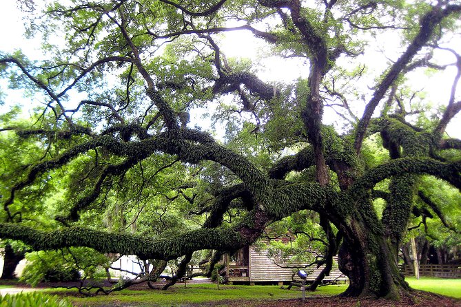 Destrehan Plantation Tour - Self-Guided Exploration and Grounds Walk