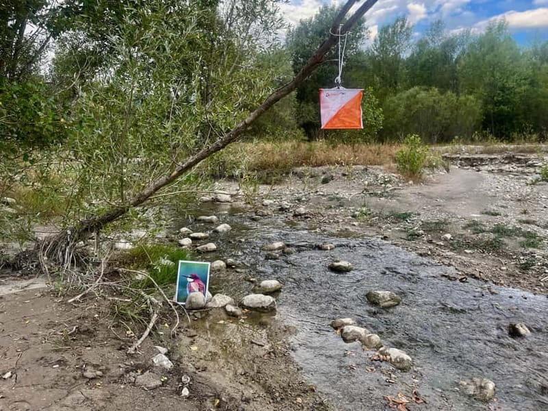 Detective Club: a nature investigation game for the whole family! - Discover the Detective Club: A Unique Nature Investigation Game in the South of France