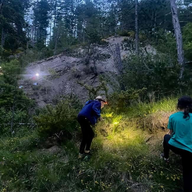 Detective Club: a nature investigation game for the whole family! - The Nature Investigation Game: How the Puzzle Solves