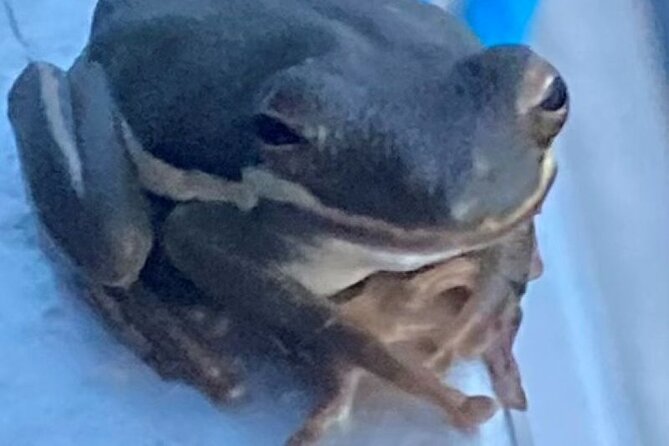 Devil's Swamp - Eco - Walking Tour - Key Points