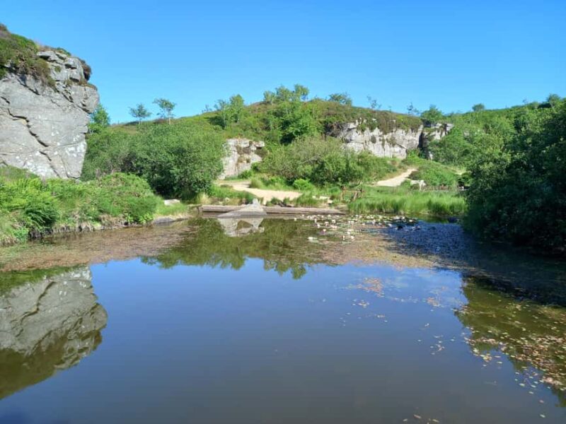 Devon: Dartmoor National Park Guided Tour - Explore Dartmoors Ancient Landscapes and Social History