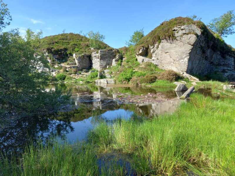 Devon: Dartmoor National Park Guided Tour - Exploring Dartmoor’s Ancient Landscape and Prehistoric Artifacts