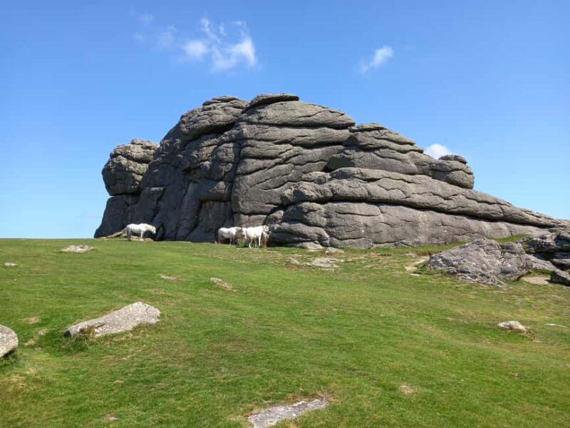 Devon: Dartmoor National Park Guided Tour - The Significance of Dartmoor’s Bronze Age and Roman Trade