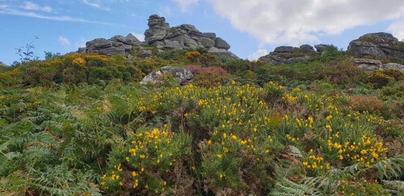 Devon: Dartmoor National Park Guided Tour - The Landscape’s Geology: From Ancient to Dinosaur Times