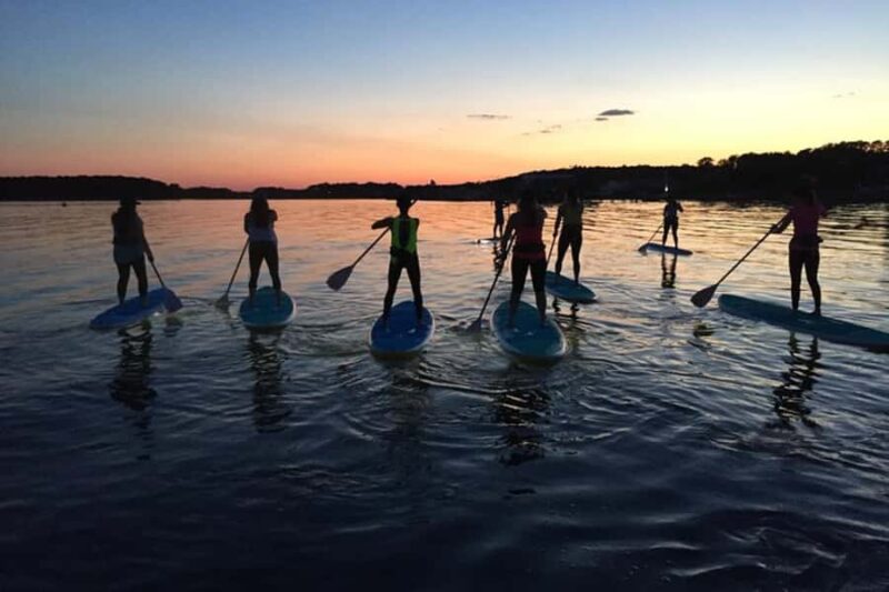 Dewey Beach: Guided Paddleboard Excursion on Rehoboth Bay - Scenic Coast Views and Photo Opportunities