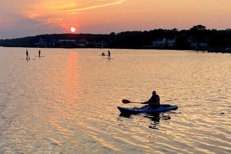 Dewey Beach: Guided Paddleboard Excursion on Rehoboth Bay - Paddling Around Dewey Beach and Salt Marshes