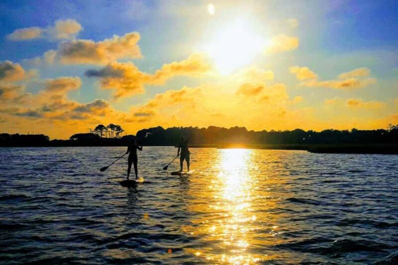 Dewey Beach: Paddleboard Rental - Key Points