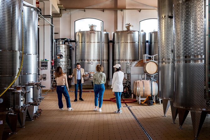 Di Giovanna Winery Tour & 3 Wine Tasting - The Scenic Setting and Panoramic Views