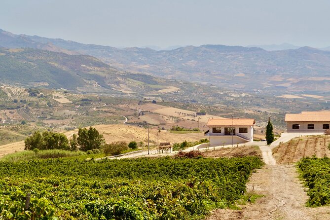 Di Giovanna Winery Tour & 5 Wine Tasting - Key Points