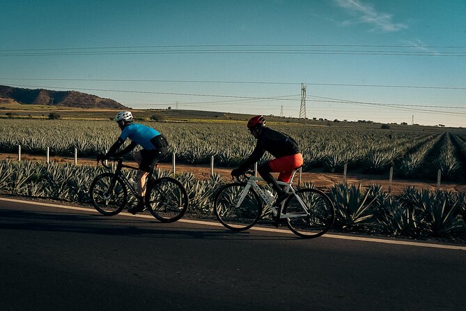 Día de Muertos Cycling Tour in Tequila 5 Days 3 Rides - Guided Visits to Altars and the Tequila Factory