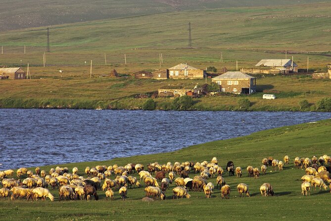 Diamond Bridge Dashbashi Shavnabada& AZEULA fortress PRIVATE Trip - Practical Details and Logistics